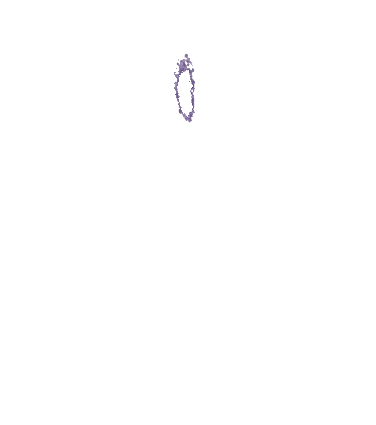 POWERLAB