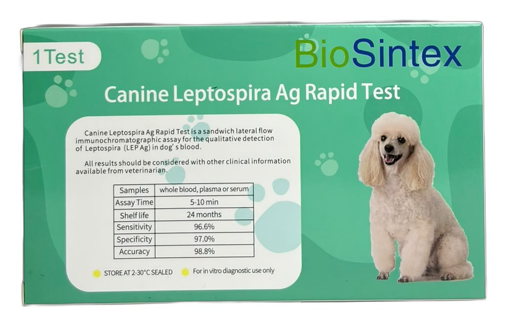 Leptospira